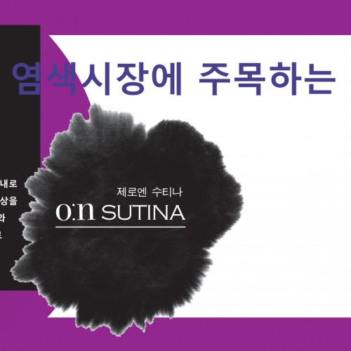 수티나 염모제 (소비자가 원하는 염색약)